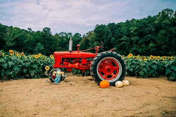 Carte grise pour tracteur agricole de collection